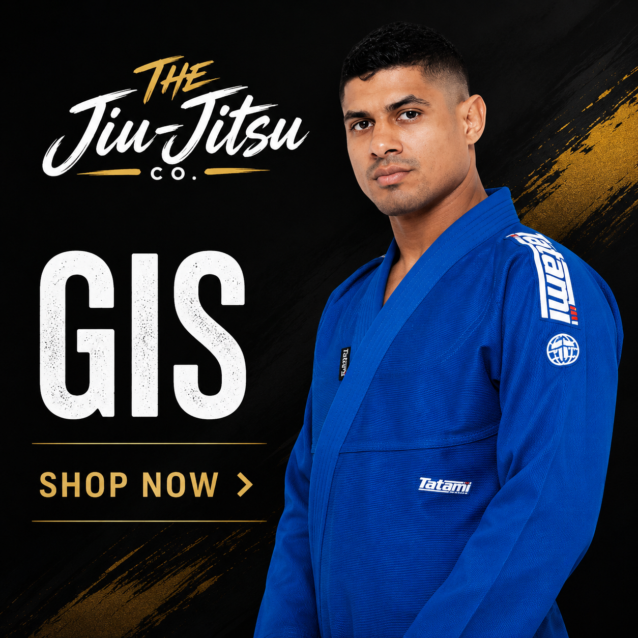 GIS